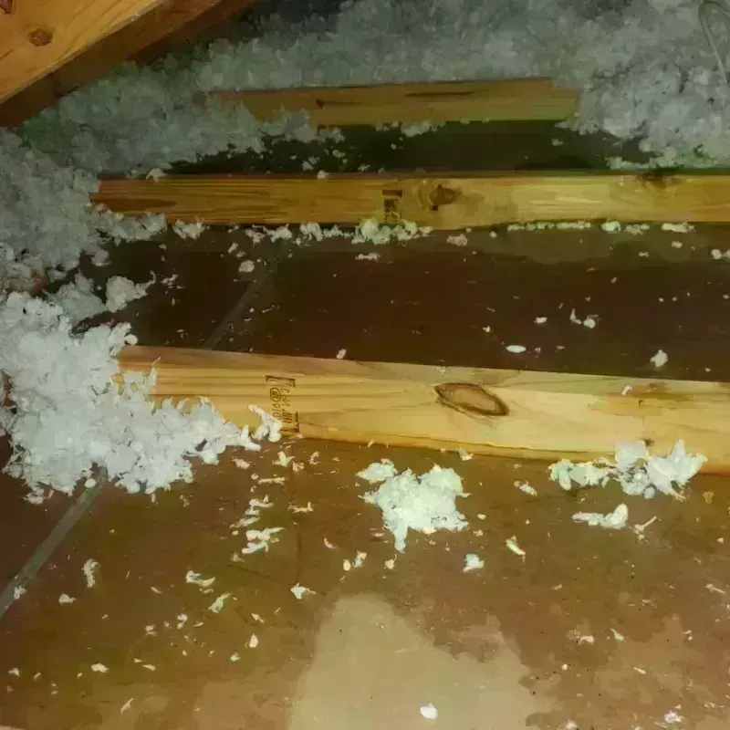 Attic Water Damage in Rogersville, TN